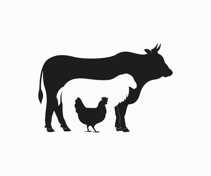 Live Animals