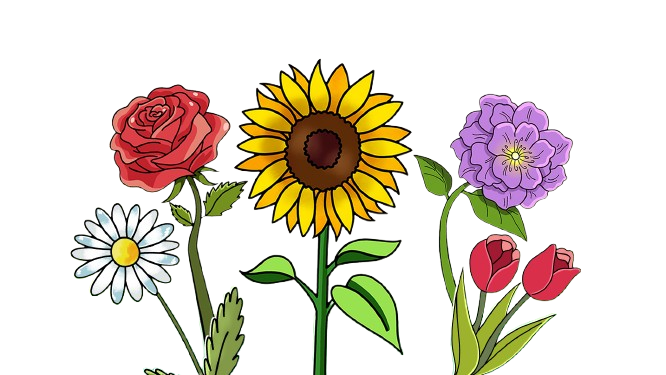 Flowers