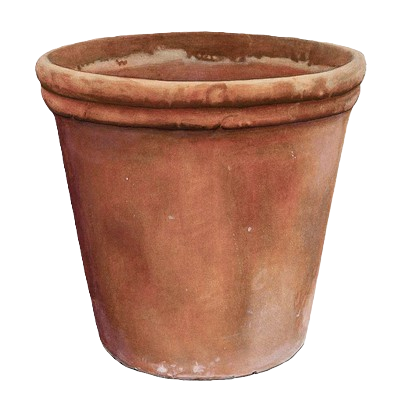 Coco Pot